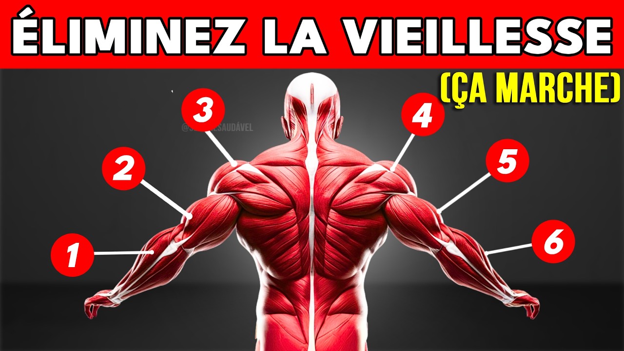 Fisio révèle: 6 exercices avec un appui scientifique pour inverser le vieillissement