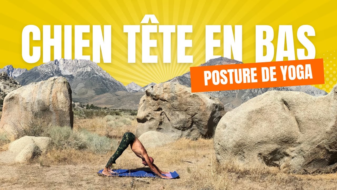 Posture de Chien tête en bas (Adho Mukha Svanasana) pour débuter.