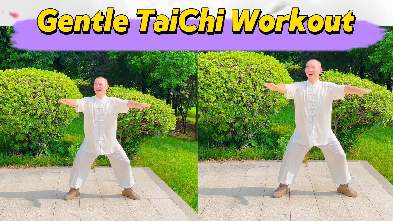 BOOST Vitality Over 50+ with Gentle SILVER Harmony Tai Chi for Seniors