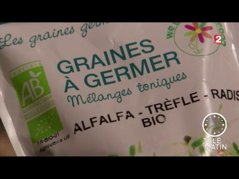 Bien-être - Boostez votre énergie sans caféine
